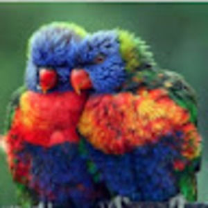 Meet your Posher, Nichole